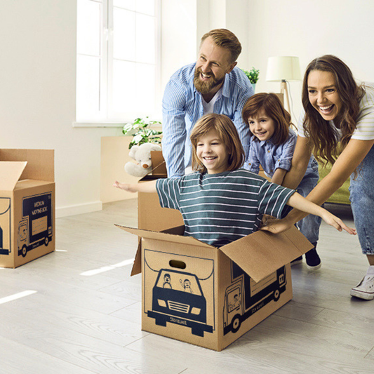 Classic Small Moving Boxes 50L